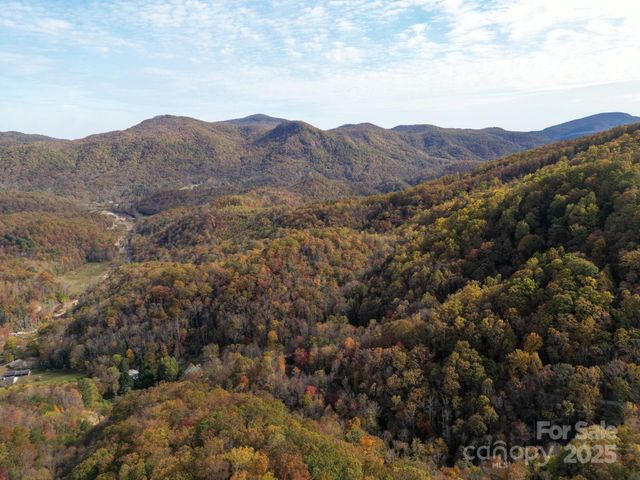 4B LOWER FLAT CREEK Road, Black Mountain, NC 28711