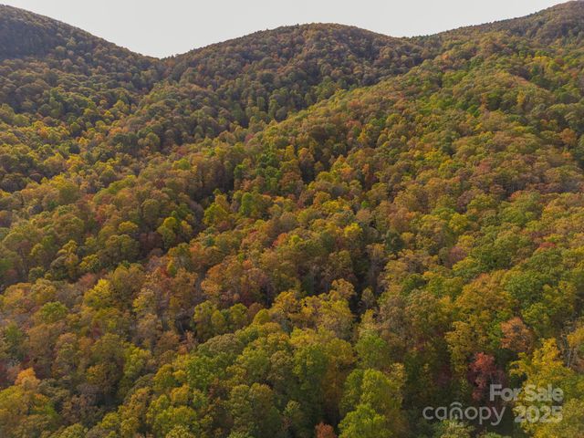 4B LOWER FLAT CREEK Road, Black Mountain, NC 28711