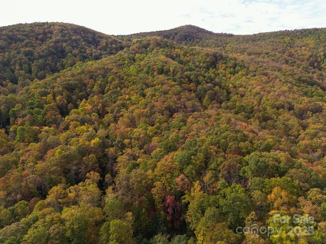4B LOWER FLAT CREEK Road, Black Mountain, NC 28711