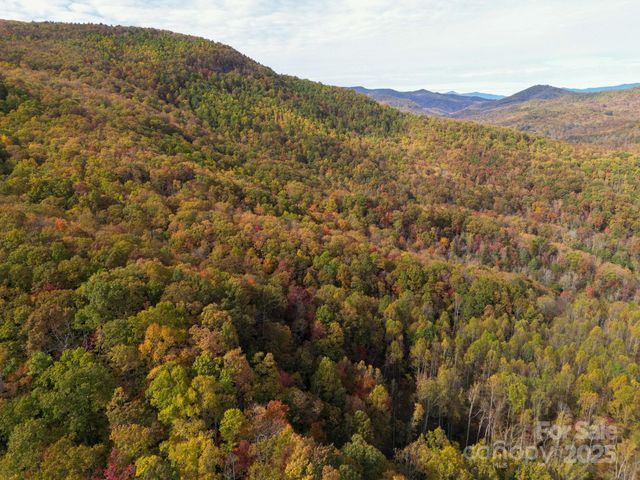 4B LOWER FLAT CREEK Road, Black Mountain, NC 28711