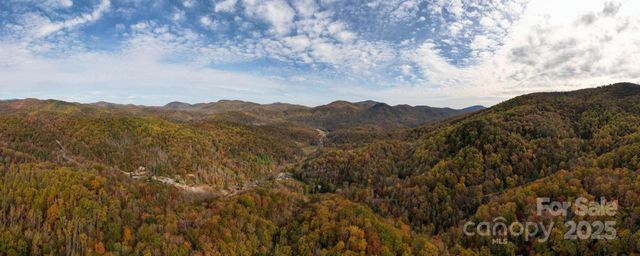 4B LOWER FLAT CREEK Road, Black Mountain, NC 28711