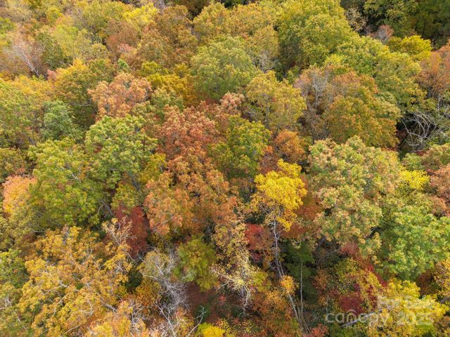 4B LOWER FLAT CREEK Road, Black Mountain, NC 28711