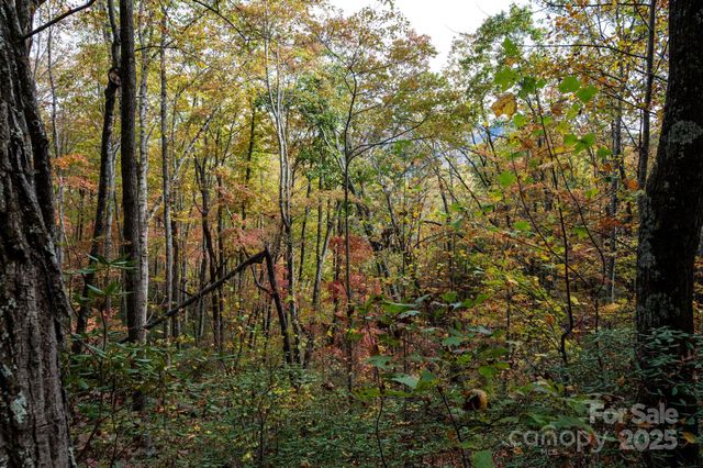 4B LOWER FLAT CREEK Road, Black Mountain, NC 28711