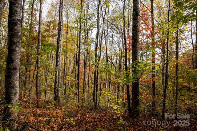 4B LOWER FLAT CREEK Road, Black Mountain, NC 28711