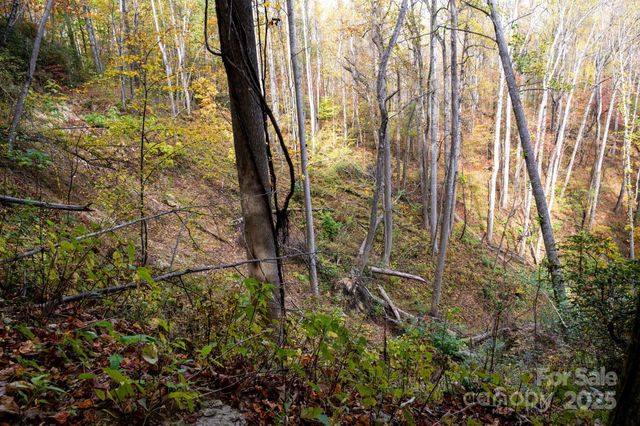 4B LOWER FLAT CREEK Road, Black Mountain, NC 28711