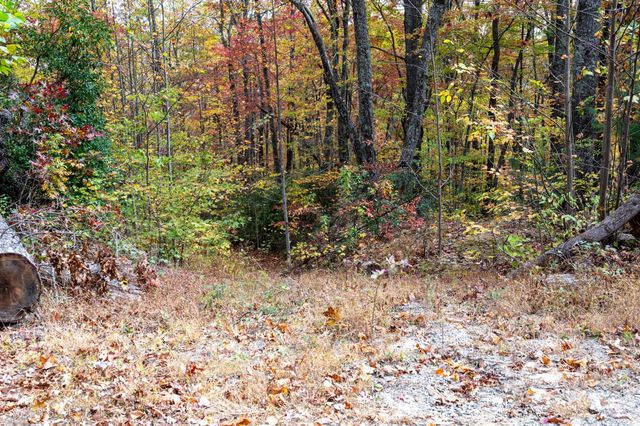 4B LOWER FLAT CREEK Road, Black Mountain, NC 28711