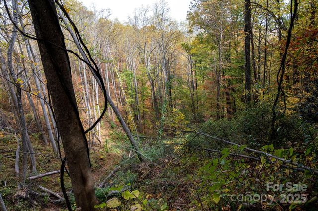 4B LOWER FLAT CREEK Road, Black Mountain, NC 28711