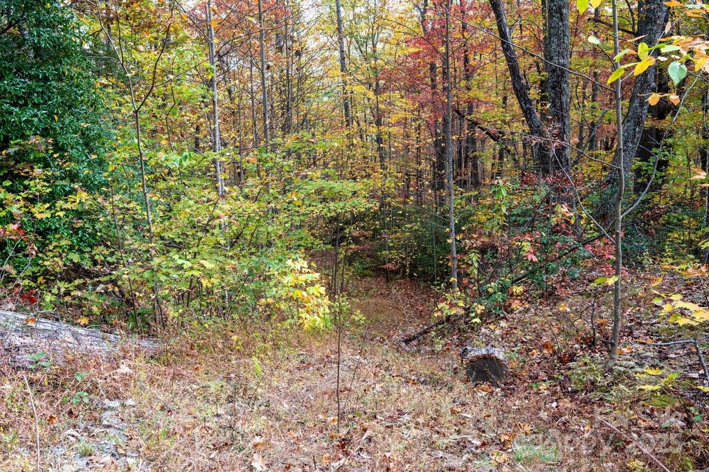 4B LOWER FLAT CREEK Road, Black Mountain, NC 28711