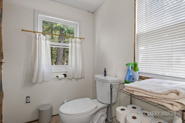 16510 Bass Lake Avenue NE, Gowen, MI 49326
