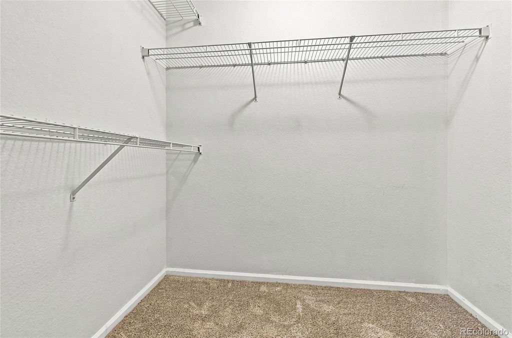 Image 14 of property listing at 1371 Laurenwood Way, Highlands Ranch, CO 80129