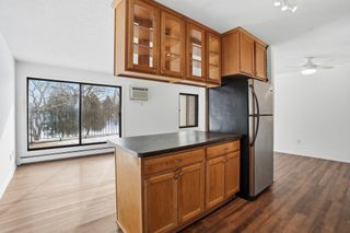 4130 Rahn Road 206, Eagan, MN 55122