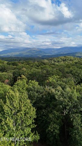 2213 E View Drive, Sevierville, TN 37876