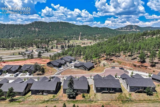 528 Brecken Court, Woodland Park, CO 80863