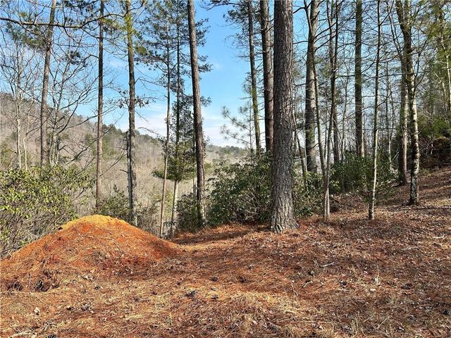 436 Meadow Lane, Talking Rock, GA 30175