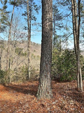 436 Meadow Lane, Talking Rock, GA 30175