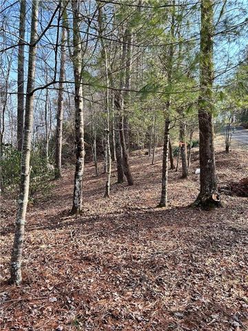 436 Meadow Lane, Talking Rock, GA 30175