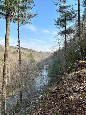 436 Meadow Lane, Talking Rock, GA 30175