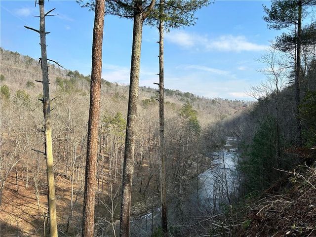 436 Meadow Lane, Talking Rock, GA 30175