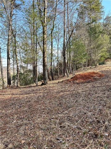 436 Meadow Lane, Talking Rock, GA 30175