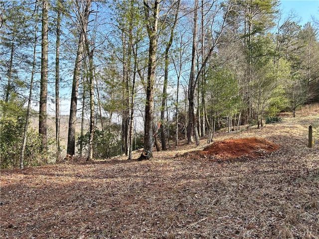 436 Meadow Lane, Talking Rock, GA 30175