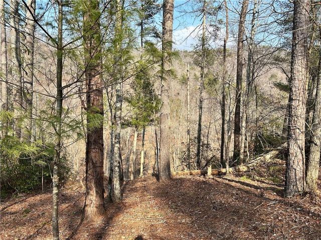 436 Meadow Lane, Talking Rock, GA 30175