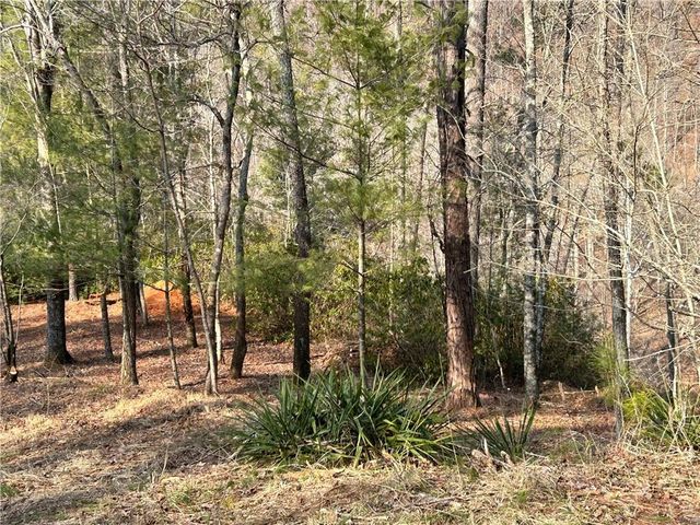 436 Meadow Lane, Talking Rock, GA 30175