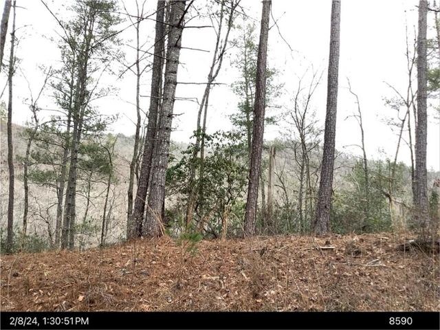 436 Meadow Lane, Talking Rock, GA 30175