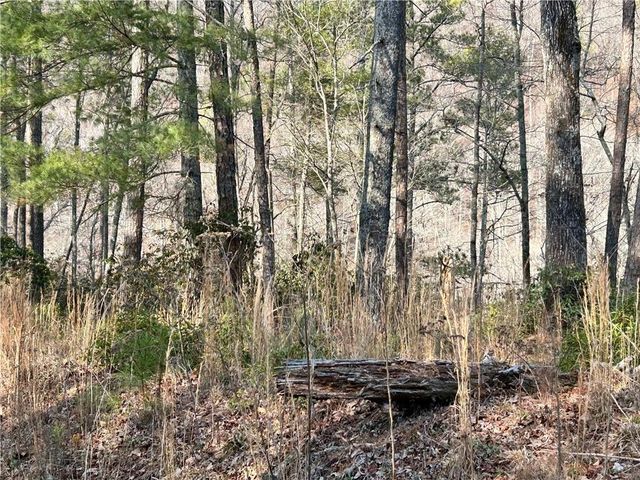 436 Meadow Lane, Talking Rock, GA 30175