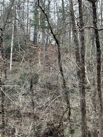 436 Meadow Lane, Talking Rock, GA 30175