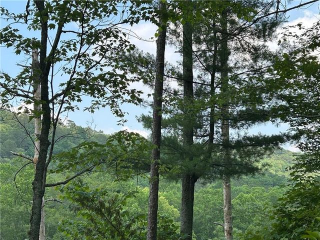 436 Meadow Lane, Talking Rock, GA 30175