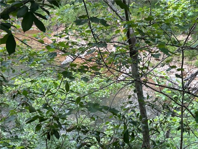 436 Meadow Lane, Talking Rock, GA 30175