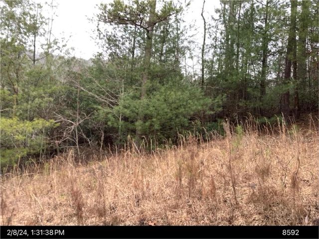 436 Meadow Lane, Talking Rock, GA 30175