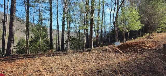 436 Meadow Lane, Talking Rock, GA 30175