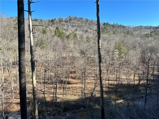 436 Meadow Lane, Talking Rock, GA 30175