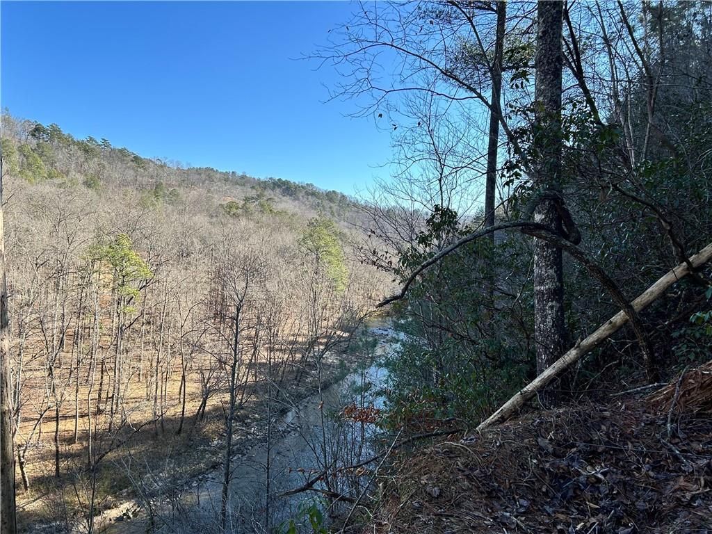 436 Meadow Lane, Talking Rock, GA 30175