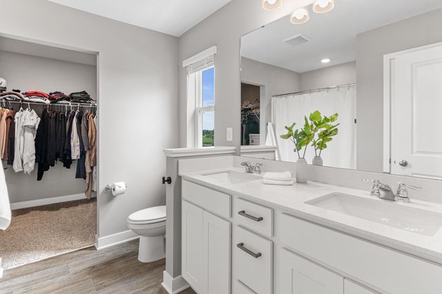 239 Snowdrop Trail, Waconia, MN 55387