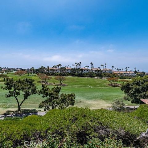 32 Dauphin, Dana Point, CA 92629
