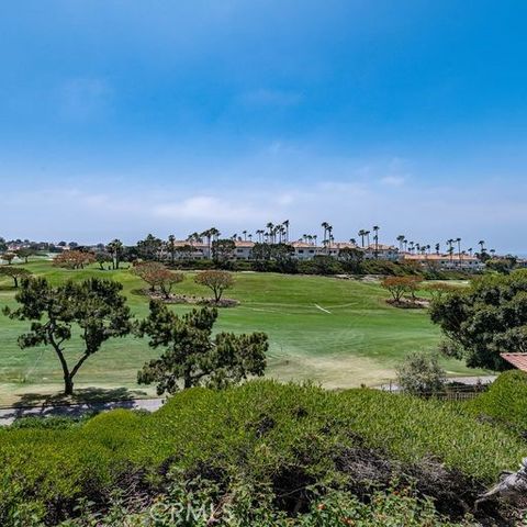 32 Dauphin, Dana Point, CA 92629