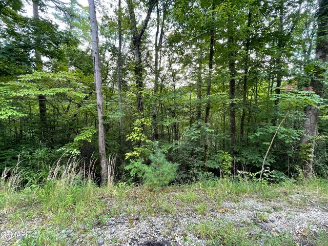 Lot 6 Stepping Stone Drive, Sevierville, TN 37862