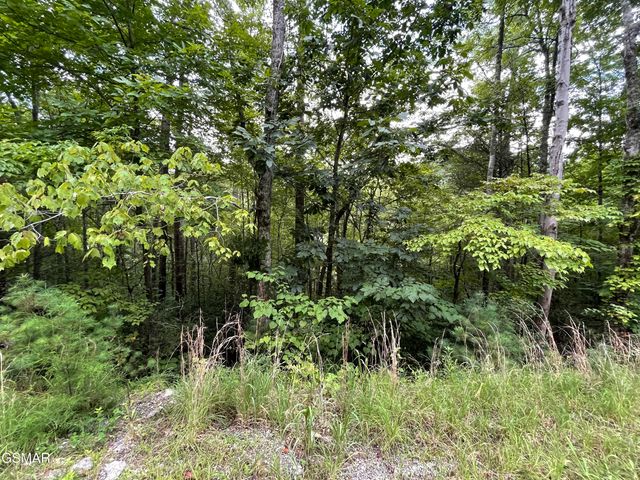 Lot 6 Stepping Stone Drive, Sevierville, TN 37862