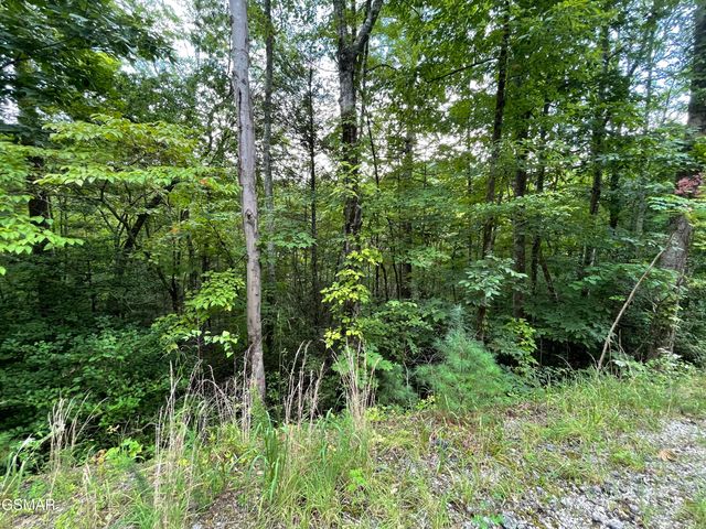 Lot 6 Stepping Stone Drive, Sevierville, TN 37862