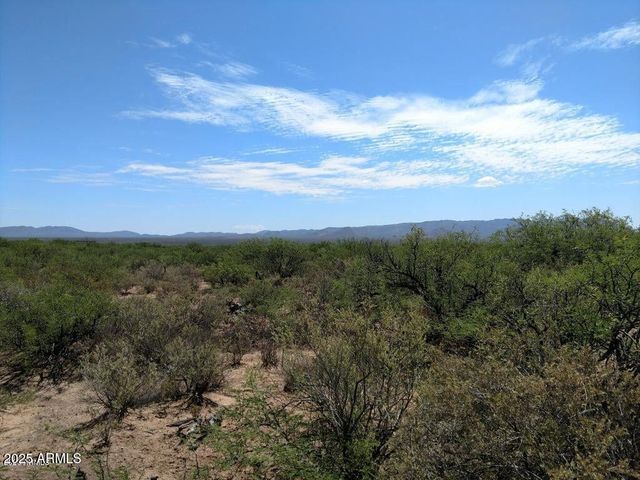 TBD Happy Trail A, Hereford, AZ 85615