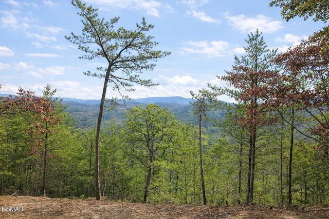 1 Sulpher Springs Way, Sevierville, TN 37876