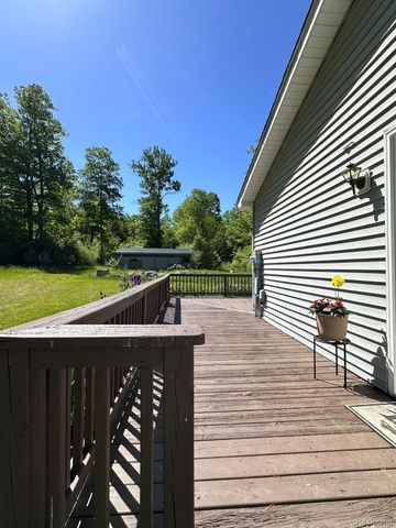 6250 Stine Road, Goodland Township, MI 48444