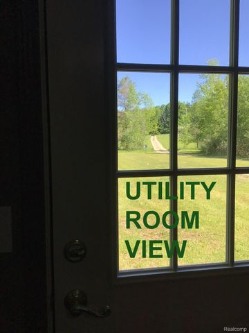6250 Stine Road, Goodland Township, MI 48444