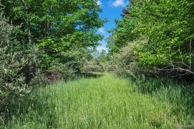 6250 Stine Road, Goodland Township, MI 48444