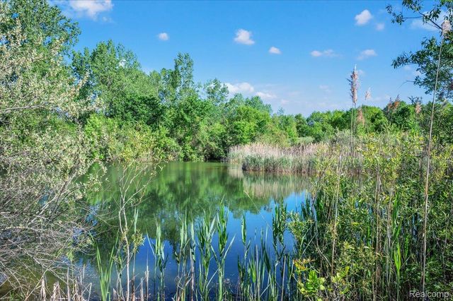 6250 Stine Road, Goodland Township, MI 48444