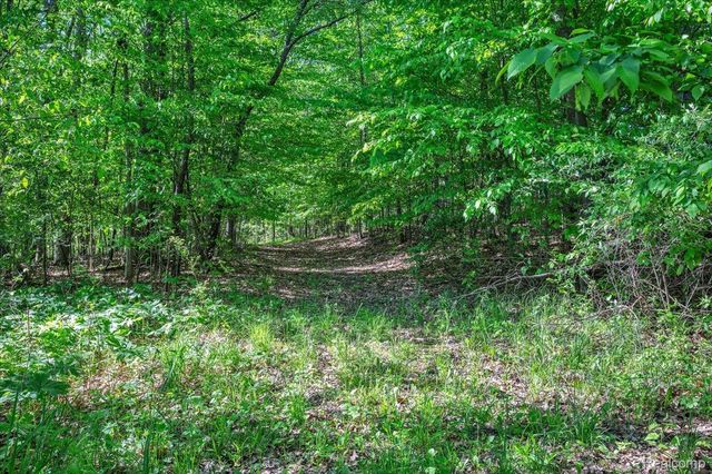6250 Stine Road, Goodland Township, MI 48444