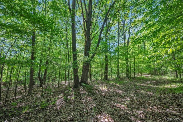 6250 Stine Road, Goodland Township, MI 48444