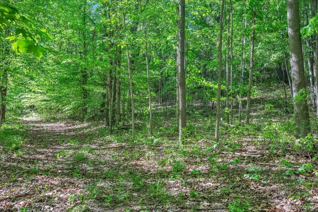 6250 Stine Road, Goodland Township, MI 48444